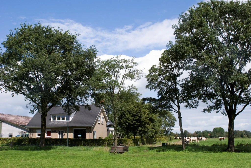 NL03-Hans-Coolen-boerderij_0149